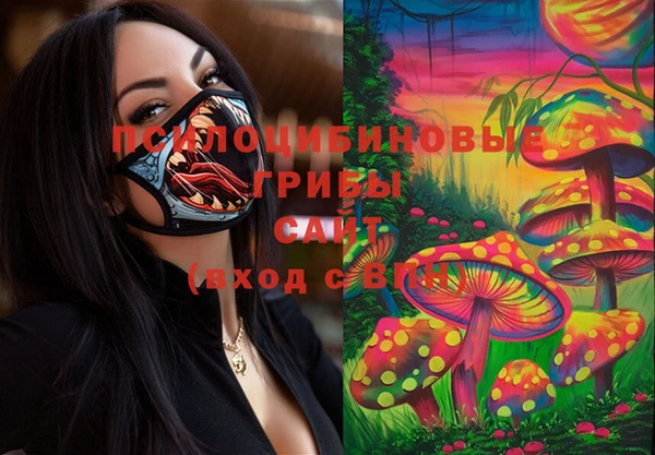 эйфоретик Арсеньев