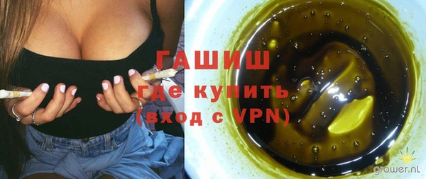 эйфоретик Арсеньев
