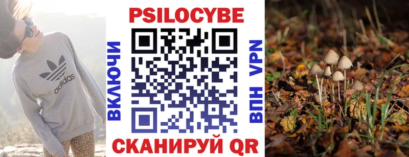 Псилоцибиновые грибы мицелий Ивдель